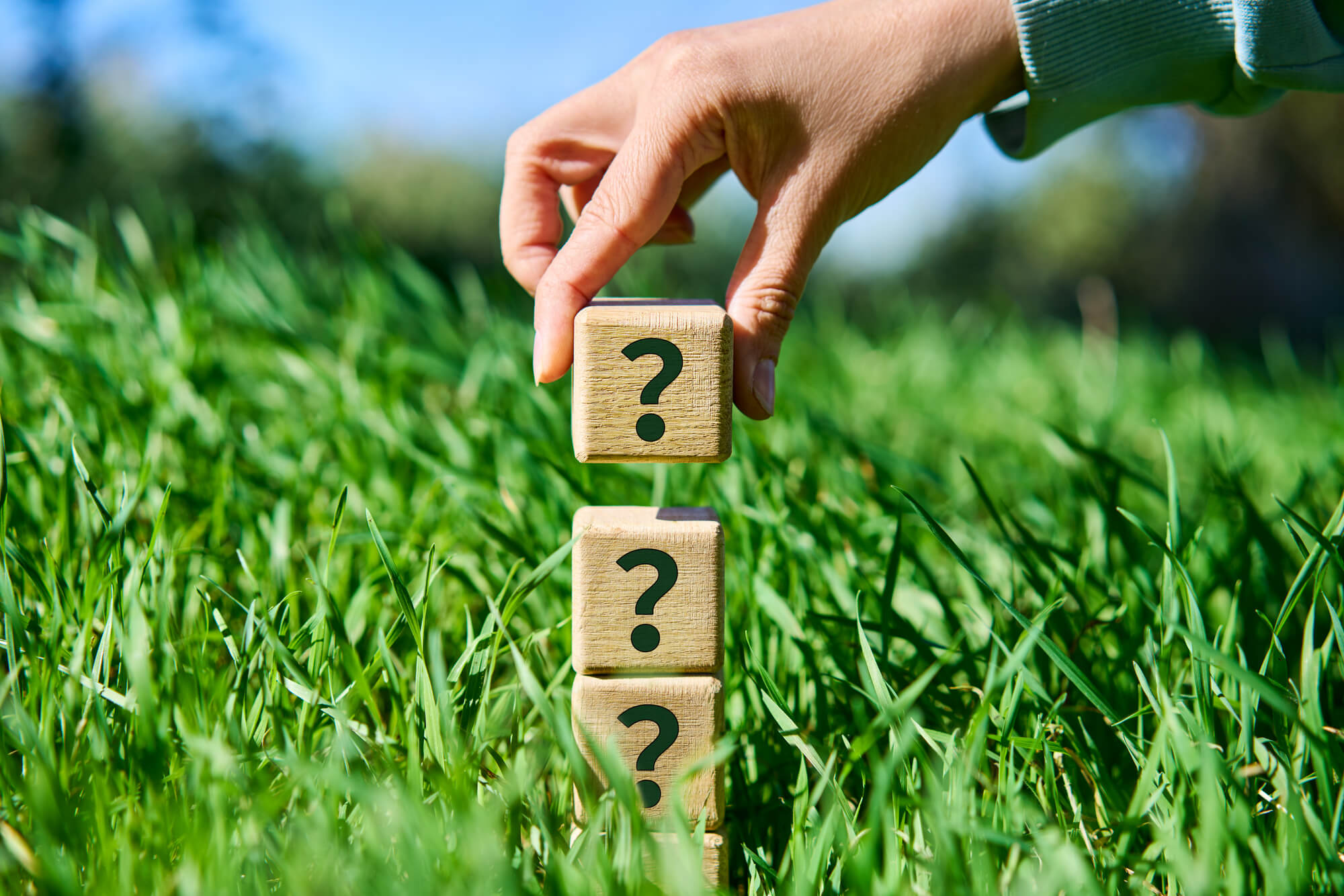 豆柴についてよくある質問